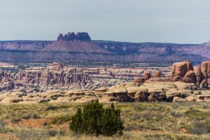 20140331_AndersonsNeedles_60